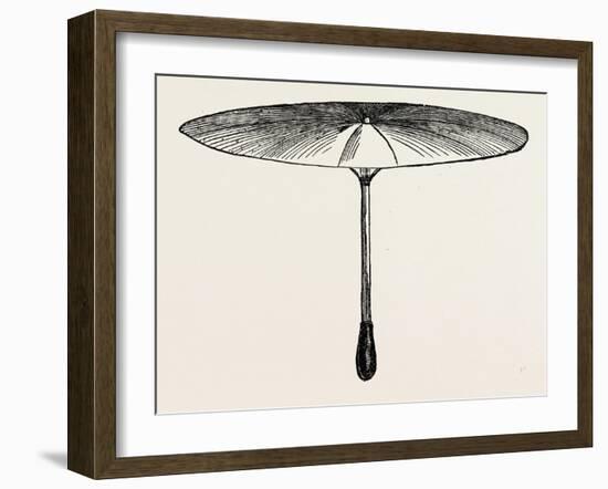 Umbrella for Hawks-null-Framed Giclee Print