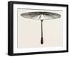 Umbrella for Hawks-null-Framed Giclee Print