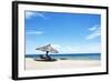 Umbrella on the Beach on a Sunny Day, Chintheche Beach, Lake Malawi, Africa-Yolanda387-Framed Photographic Print