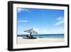 Umbrella on the Beach on a Sunny Day, Chintheche Beach, Lake Malawi, Africa-Yolanda387-Framed Photographic Print