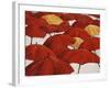 Umbrella Parade-Sydney Edmunds-Framed Giclee Print