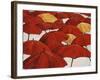 Umbrella Parade-Sydney Edmunds-Framed Giclee Print