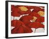 Umbrella Parade-Sydney Edmunds-Framed Giclee Print