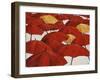 Umbrella Parade-Sydney Edmunds-Framed Giclee Print