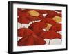 Umbrella Parade-Sydney Edmunds-Framed Giclee Print