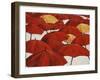 Umbrella Parade-Sydney Edmunds-Framed Giclee Print