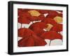 Umbrella Parade-Sydney Edmunds-Framed Giclee Print