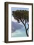 Umbrella Pine and the Amalfi Coast from Villa Rofolo in Ravello-Martin Child-Framed Photographic Print