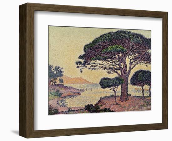 Umbrella Pines at Caroubiers, 1898-Paul Signac-Framed Giclee Print