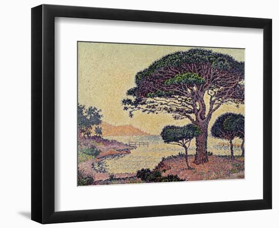 Umbrella Pines at Caroubiers, 1898-Paul Signac-Framed Giclee Print