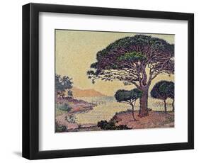 Umbrella Pines at Caroubiers, 1898-Paul Signac-Framed Giclee Print