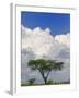 Umbrella Thorn Acacia, Lake Nakuru National Park, Kenya-Adam Jones-Framed Photographic Print