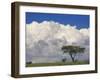 Umbrella Thorn Acacia, Lake Nakuru National Park, Kenya-Adam Jones-Framed Photographic Print