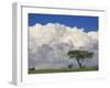 Umbrella Thorn Acacia, Lake Nakuru National Park, Kenya-Adam Jones-Framed Photographic Print