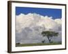 Umbrella Thorn Acacia, Lake Nakuru National Park, Kenya-Adam Jones-Framed Photographic Print