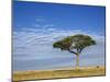 Umbrella Thorn Acacia, Masai Mara Game Reserve, Kenya-Adam Jones-Mounted Photographic Print