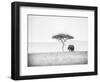 UMBRELLA THORN-Jaco Marx-Framed Photographic Print