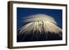 Umbrella-Akihiro Shibata-Framed Photographic Print