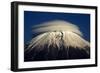 Umbrella-Akihiro Shibata-Framed Photographic Print