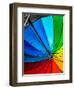 Umbrella-Steven Maxx-Framed Premium Photographic Print