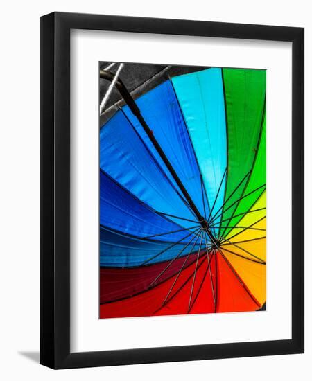 Umbrella-Steven Maxx-Framed Premium Photographic Print