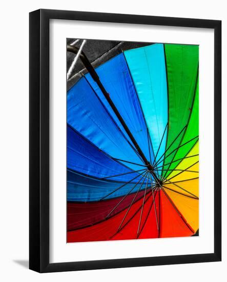 Umbrella-Steven Maxx-Framed Photographic Print