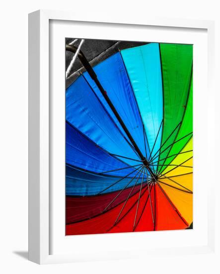 Umbrella-Steven Maxx-Framed Photographic Print