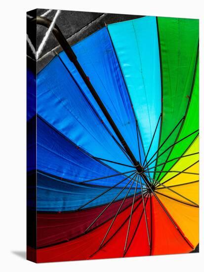 Umbrella-Steven Maxx-Stretched Canvas