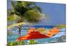 Umbrellas and Shade at Castaway Cay, Bahamas, Caribbean-Kymri Wilt-Mounted Photographic Print