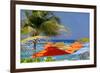 Umbrellas and Shade at Castaway Cay, Bahamas, Caribbean-Kymri Wilt-Framed Photographic Print