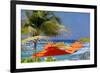 Umbrellas and Shade at Castaway Cay, Bahamas, Caribbean-Kymri Wilt-Framed Photographic Print