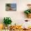 Umbrellas and Shade at Castaway Cay, Bahamas, Caribbean-Kymri Wilt-Mounted Photographic Print displayed on a wall