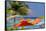 Umbrellas and Shade at Castaway Cay, Bahamas, Caribbean-Kymri Wilt-Framed Stretched Canvas