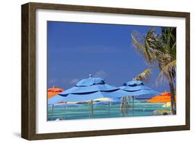 Umbrellas and Shade at Castaway Cay, Bahamas, Caribbean-Kymri Wilt-Framed Photographic Print