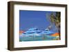 Umbrellas and Shade at Castaway Cay, Bahamas, Caribbean-Kymri Wilt-Framed Photographic Print