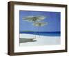 Umbrellas, Greece, 1995-Lincoln Seligman-Framed Giclee Print