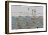 Umbrellas on the Beach, Family in the Sea, Jesolo, Venetian Lagoon, Veneto, Italy-James Emmerson-Framed Photographic Print