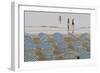 Umbrellas on the Beach, Family in the Sea, Jesolo, Venetian Lagoon, Veneto, Italy-James Emmerson-Framed Photographic Print