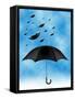 Umbrellas-sean gladwell-Framed Stretched Canvas