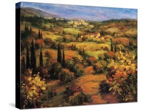 Umbria Panorama-S^ Hinus-Stretched Canvas