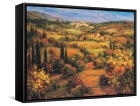 Umbria Panorama-S. Hinus-Framed Stretched Canvas