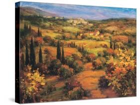 Umbria Panorama-S. Hinus-Stretched Canvas