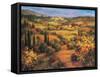 Umbria Panorama-S. Hinus-Framed Stretched Canvas