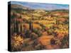 Umbria Panorama-S. Hinus-Stretched Canvas