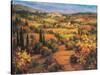 Umbria Panorama-S. Hinus-Stretched Canvas