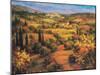 Umbria Panorama-S. Hinus-Mounted Art Print