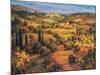 Umbria Panorama-S. Hinus-Mounted Art Print