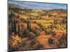 Umbria Panorama-S. Hinus-Mounted Art Print