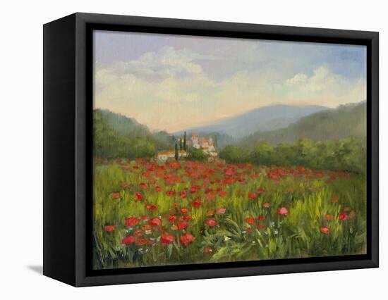 Umbrian Poppy Field-Mary Jean Weber-Framed Stretched Canvas