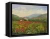 Umbrian Poppy Field-Mary Jean Weber-Framed Stretched Canvas